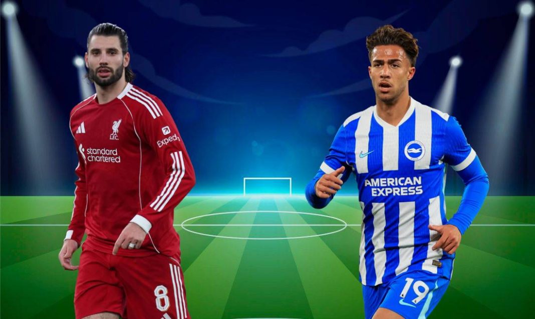 liverpool brighton 